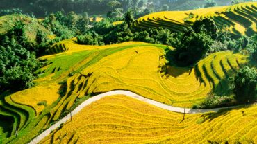 Vietnam’s top 5 travel destinations