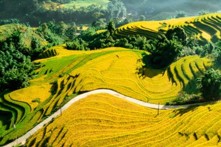 Vietnam’s top 5 travel destinations